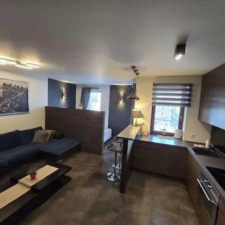 Near To The Wawel Castle With A Parking Apartment